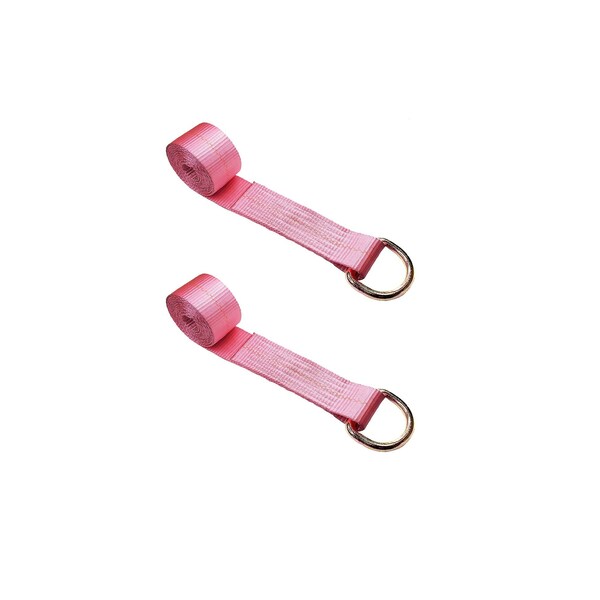 2" x 10' Lasso Strap w/ D Ring Auto Tie Down Wheel Lift Tow Truck Trailer, 2PK